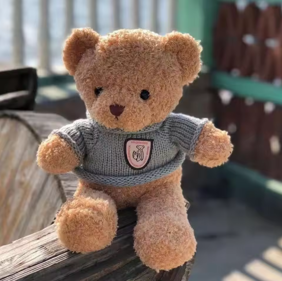 Peluche Ourson Mignon (40 cm)